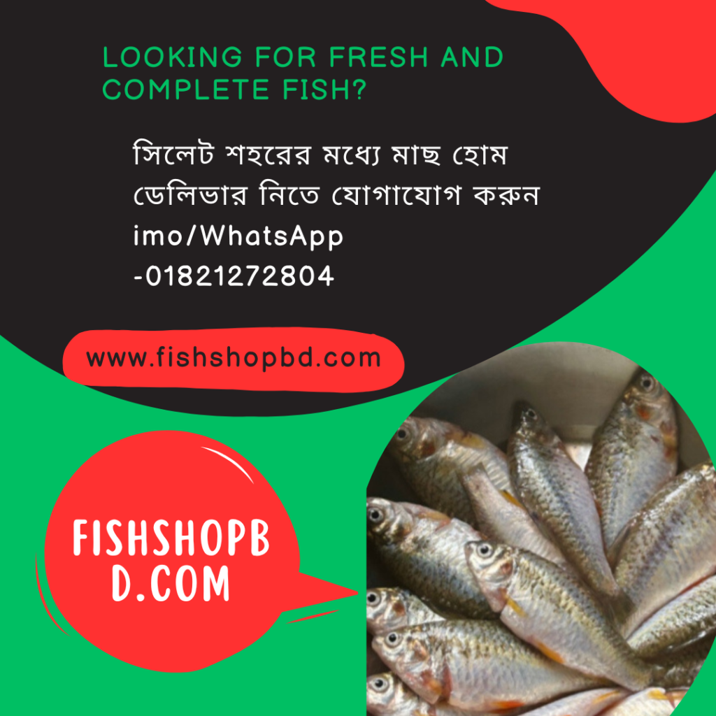 রেডি টু কুক পুঁটি মাছ কিনুন | সিলেট শহরে ক্যাশ অন ডেলিভারি